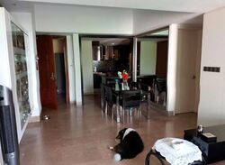 Palm Spring (D10), Condominium #628832381